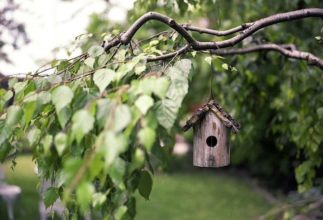 Organic Gardening for a Greener World