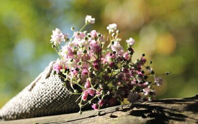 Tending to Garden Trees for Abundant Benefits