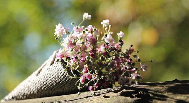 Tending to Garden Trees for Abundant Benefits