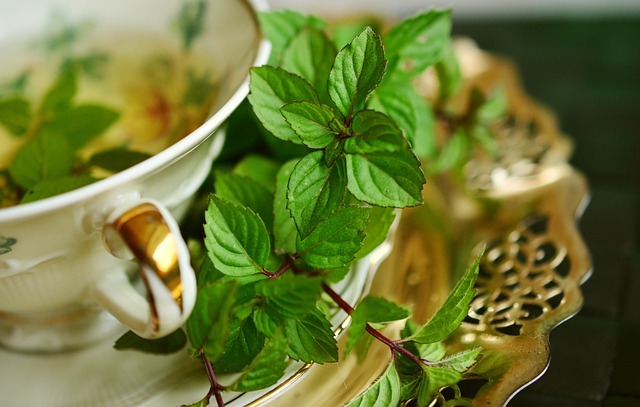 Make Your Meals Herbilicious With Your own Herb Garden