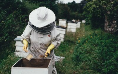 Cultivating Vegetables for Taste and Nourishment