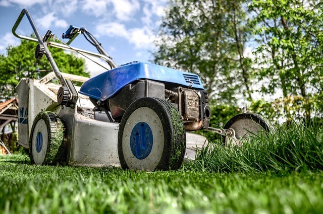 Organic Gardening: Sustainable and Healthful Practices