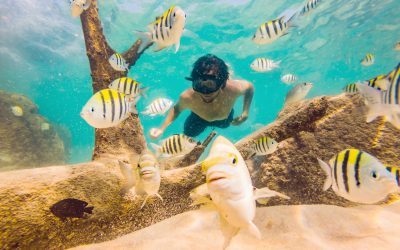 Snorkeling in Aruba